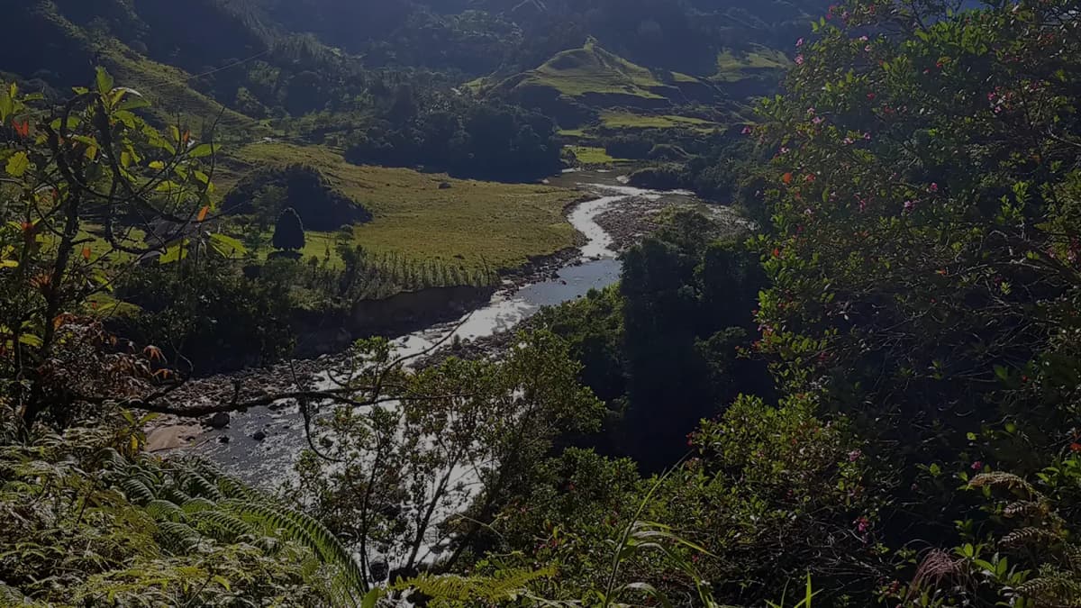 Hero section background